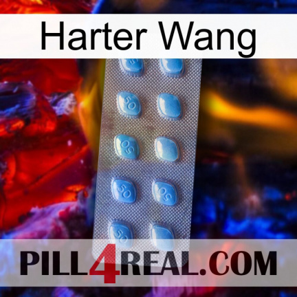 Hard Wang viagra3